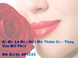 Bí Kíp Sổ Mơ Lô Đề Đánh Đâu Thắng Đó